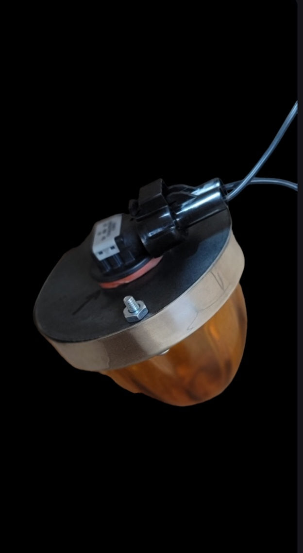 Watermelon light assembly